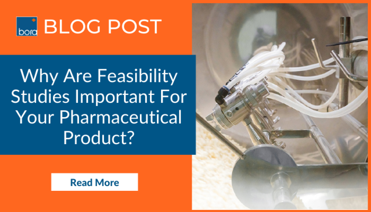 importance of feasibility