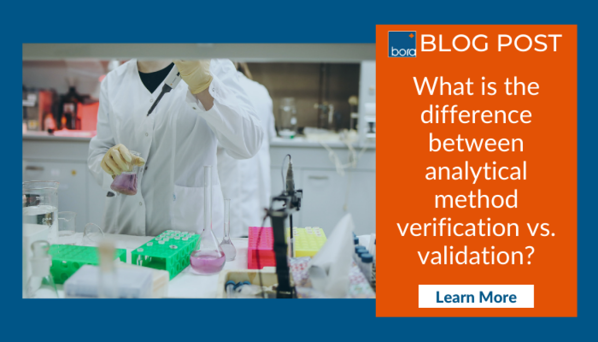 verificationvsvalidation